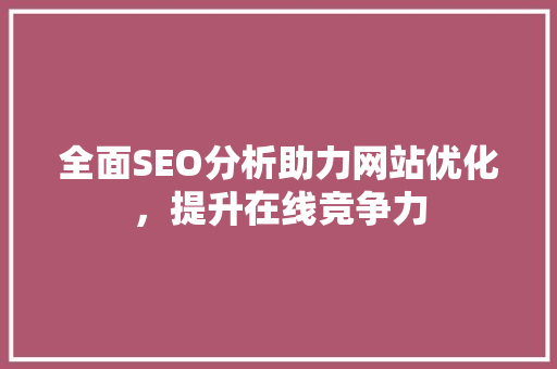 全面SEO分析助力网站优化，提升在线竞争力