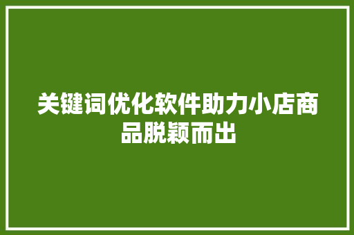 关键词优化软件助力小店商品脱颖而出 百度SEO