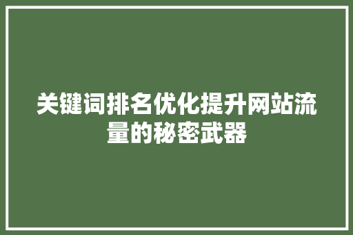 关键词排名优化提升网站流量的秘密武器