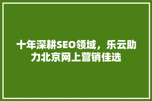 十年深耕SEO领域，乐云助力北京网上营销佳选 必应SEO