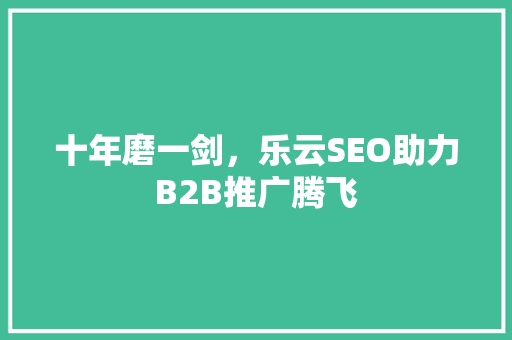 十年磨一剑，乐云SEO助力B2B推广腾飞 神马SEO