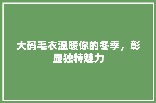 大码毛衣温暖你的冬季，彰显独特魅力