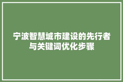 宁波智慧城市建设的先行者与关键词优化步骤 神马SEO