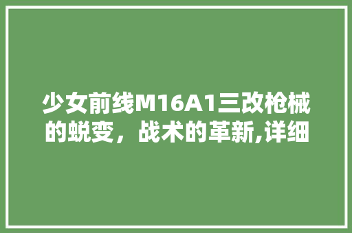 少女前线M16A1三改枪械的蜕变，战术的革新,详细M16A1三改的独到之处 GoogleSEO