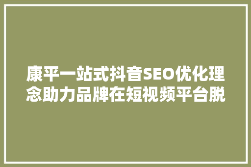 康平一站式抖音SEO优化理念助力品牌在短视频平台脱颖而出 神马SEO