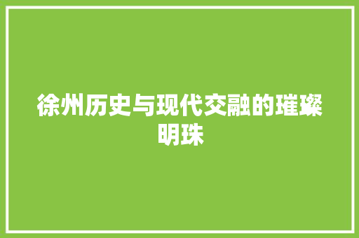 徐州历史与现代交融的璀璨明珠 百度SEO