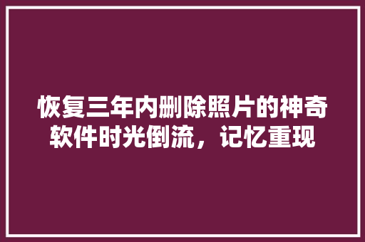 恢复三年内删除照片的神奇软件时光倒流，记忆重现 必应SEO