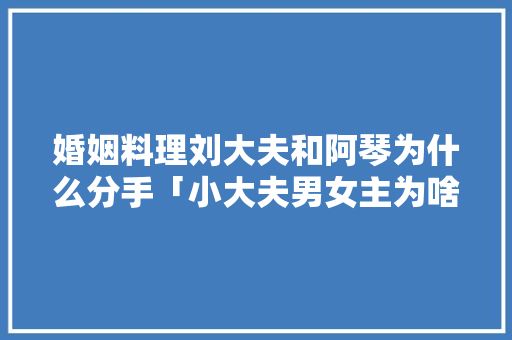 婚姻料理刘大夫和阿琴为什么分手「小大夫男女主为啥离婚」