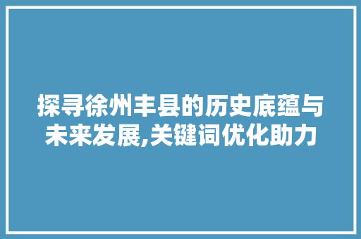 探寻徐州丰县的历史底蕴与未来发展,关键词优化助力县域经济腾飞 GoogleSEO