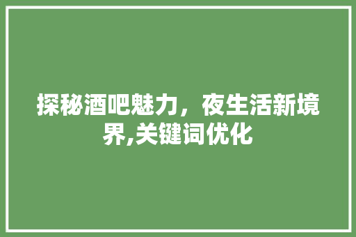 探秘酒吧魅力，夜生活新境界,关键词优化 GoogleSEO