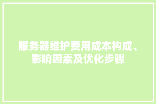 服务器维护费用成本构成、影响因素及优化步骤 GoogleSEO