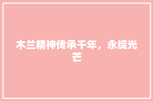 木兰精神传承千年，永绽光芒 必应SEO