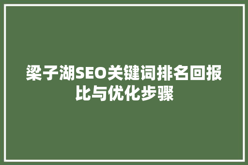 梁子湖SEO关键词排名回报比与优化步骤
