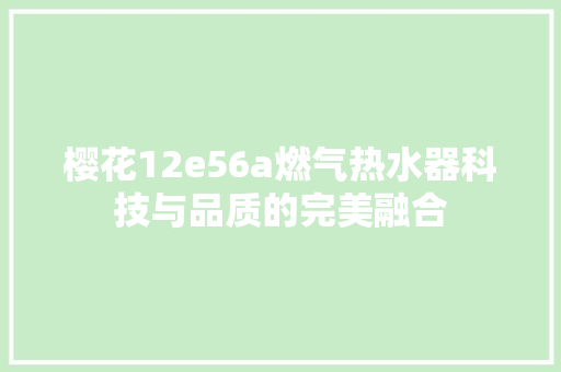 樱花12e56a燃气热水器科技与品质的完美融合 必应SEO