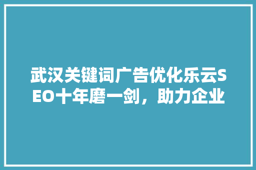 武汉关键词广告优化乐云SEO十年磨一剑，助力企业腾飞 百度SEO