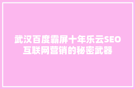 武汉百度霸屏十年乐云SEO互联网营销的秘密武器 GoogleSEO