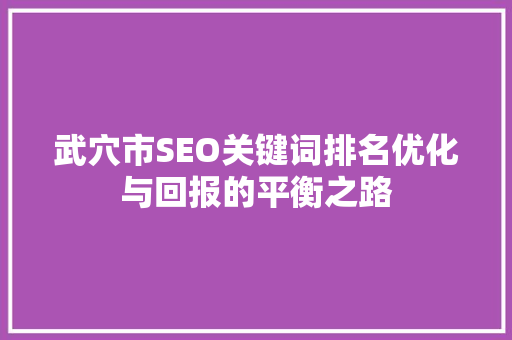 武穴市SEO关键词排名优化与回报的平衡之路 百度SEO