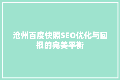 沧州百度快照SEO优化与回报的完美平衡 神马SEO