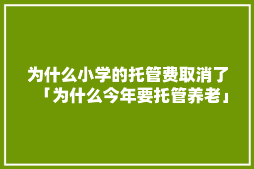 为什么小学的托管费取消了「为什么今年要托管养老」