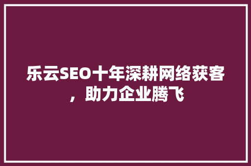 乐云SEO十年深耕网络获客，助力企业腾飞