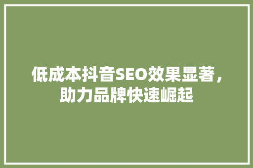 低成本抖音SEO效果显著，助力品牌快速崛起 GoogleSEO