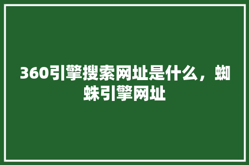 360引擎搜索网址是什么，蜘蛛引擎网址