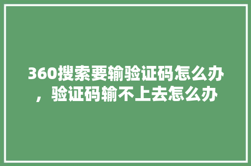 360搜索要输验证码怎么办，验证码输不上去怎么办 神马SEO