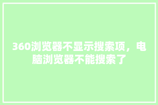 360浏览器不显示搜索项，电脑浏览器不能搜索了
