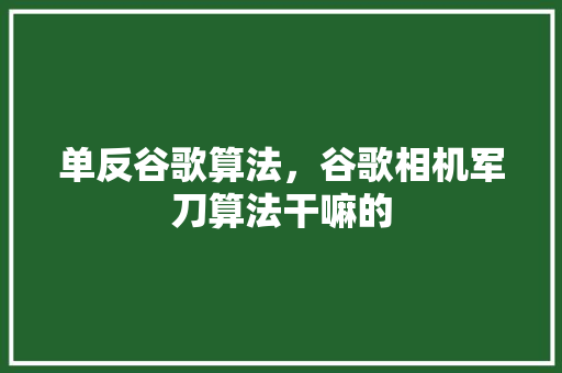 单反谷歌算法，谷歌相机军刀算法干嘛的