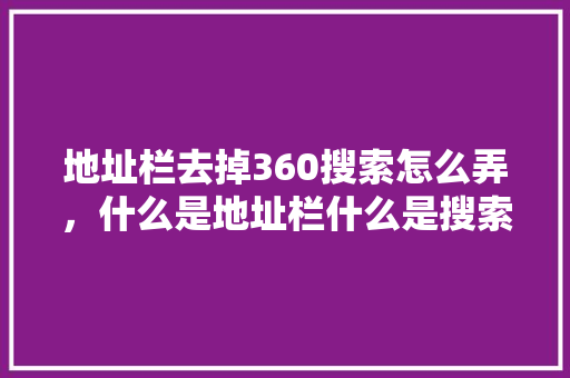 地址栏去掉360搜索怎么弄,什么是地址栏什么是搜索栏 GoogleSEO 地址栏去掉360搜索怎么弄,什么是地址栏什么是搜索栏 GoogleSEO