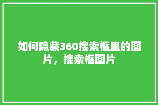 如何隐藏360搜索框里的图片，搜索框图片