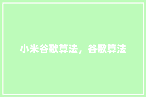 小米谷歌算法，谷歌算法