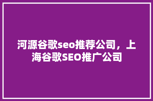 河源谷歌seo推荐公司，上海谷歌SEO推广公司