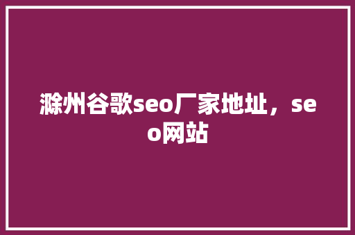 滁州谷歌seo厂家地址，seo网站