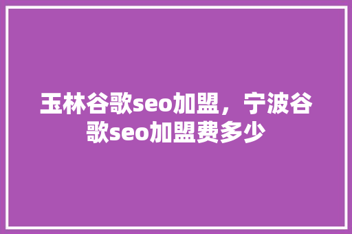 玉林谷歌seo加盟，宁波谷歌seo加盟费多少