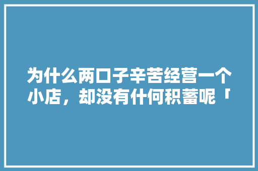 为什么两口子辛苦经营一个小店，却没有什何积蓄呢「车险为什么不走微商平台」