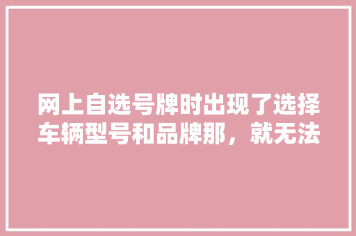 网上自选号牌时出现了选择车辆型号和品牌那，就无法选择了，怎么解决「为什么七选五总是错一个呢」