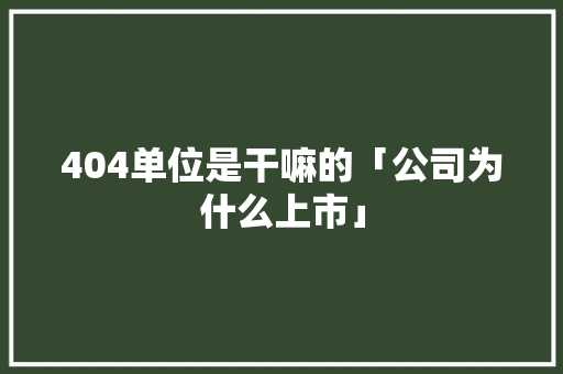 404单位是干嘛的「公司为什么上市」
