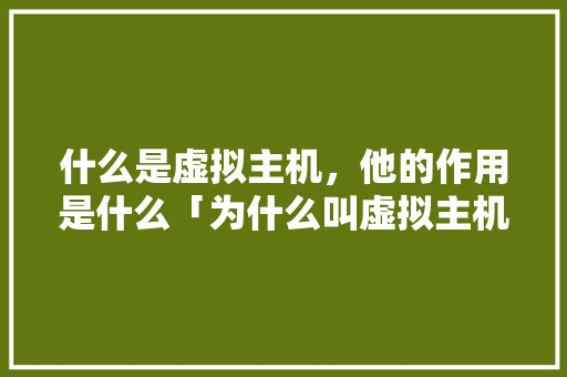 什么是虚拟主机，他的作用是什么「为什么叫虚拟主机呢」