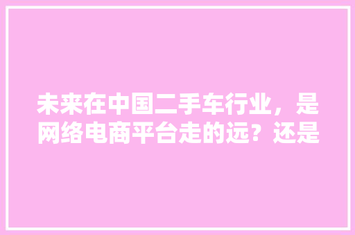 未来在中国二手车行业，是网络电商平台走的远？还是二手车展厅实体店走的远「二手车为什么做网站这么赚钱」