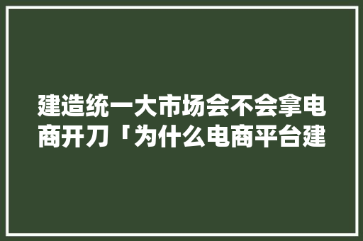 建造统一大市场会不会拿电商开刀「为什么电商平台建设缓慢会导致电商营销推广的缓慢」