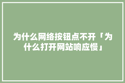 为什么网络按钮点不开「为什么打开网站响应慢」