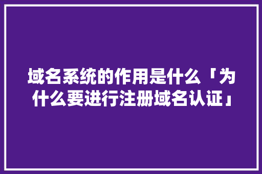 域名系统的作用是什么「为什么要进行注册域名认证」