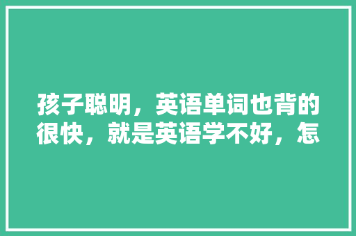 孩子聪明，英语单词也背的很快，就是英语学不好，怎么办「为什么小时候背单词很快长大就变慢」