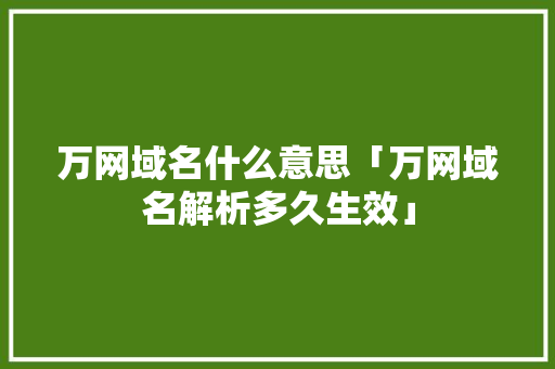 万网域名什么意思「万网域名解析多久生效」