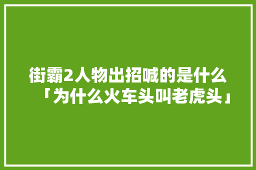 街霸2人物出招喊的是什么「为什么火车头叫老虎头」