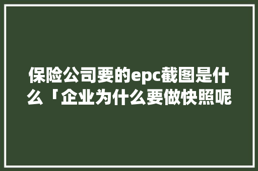 保险公司要的epc截图是什么「企业为什么要做快照呢」