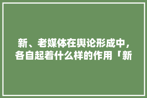 新、老媒体在舆论形成中，各自起着什么样的作用「新媒体为什么需要传统话题呢」