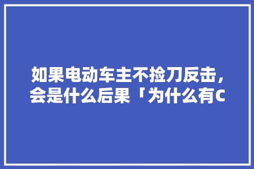 如果电动车主不捡刀反击，会是什么后果「为什么有CCTV5+」