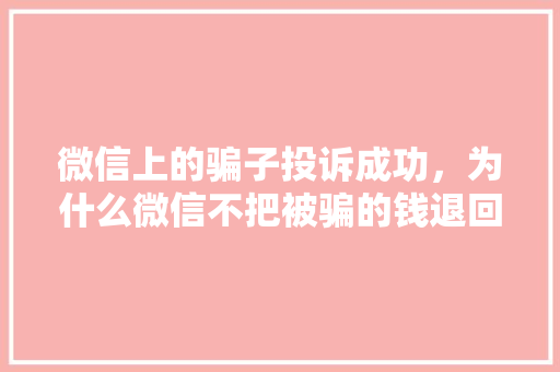 微信上的骗子投诉成功，为什么微信不把被骗的钱退回来「微信为什么能取得成功却不能用」